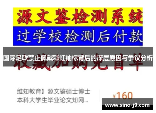 国际足联禁止佩戴彩虹袖标背后的深层原因与争议分析