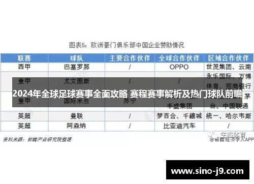 2024年全球足球赛事全面攻略 赛程赛事解析及热门球队前瞻