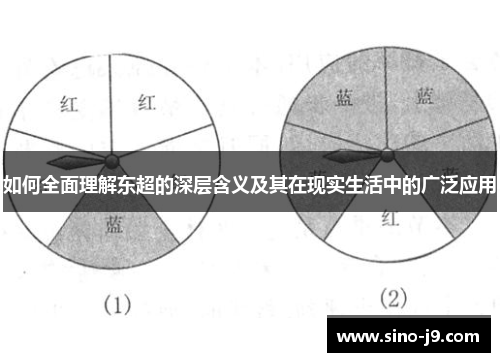 如何全面理解东超的深层含义及其在现实生活中的广泛应用
