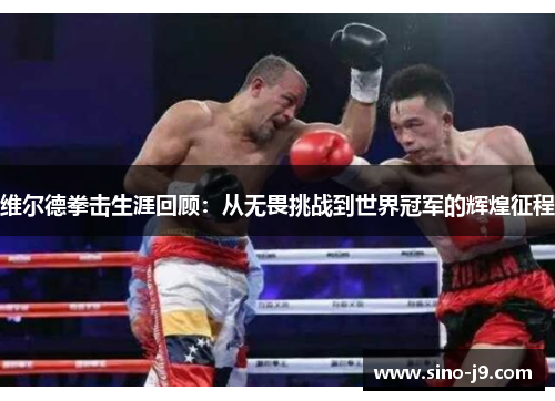 维尔德拳击生涯回顾:从无畏挑战到世界冠军的辉煌征程 维尔德拳击生涯回顾:从无畏挑战到世界冠军的辉煌征程