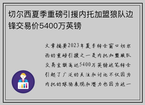 切尔西夏季重磅引援内托加盟狼队边锋交易价5400万英镑